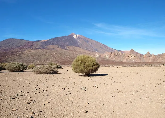 דירה Isla Tenerife Sur (adults Only) לוס אבריגוס